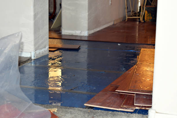 Professional Basement Water Removal technician working in China Village, ME